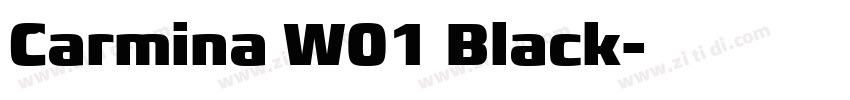 Carmina W01 Black字体转换